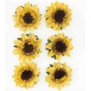Kwiaty samoprzylepne papierowe Sonecznik x6