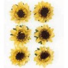 Kwiaty samoprzylepne papierowe Słonecznik x6