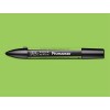 Promarker Winsor & Newton - Leaf Green x1