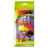 Kredki Grand 12 kol x12 Kredki Grand 12 kol x12