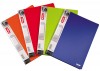 Teczka 40 A4 Patio Clear Book zielona x1 Teczka 40 A4 Patio Clear Book zielona x1