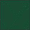 Filc kolorowy 2mm 30x40cm 20 zielony nasycony x1