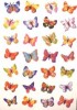 Naklejki HERMA Magic 6819 motylki małe x1